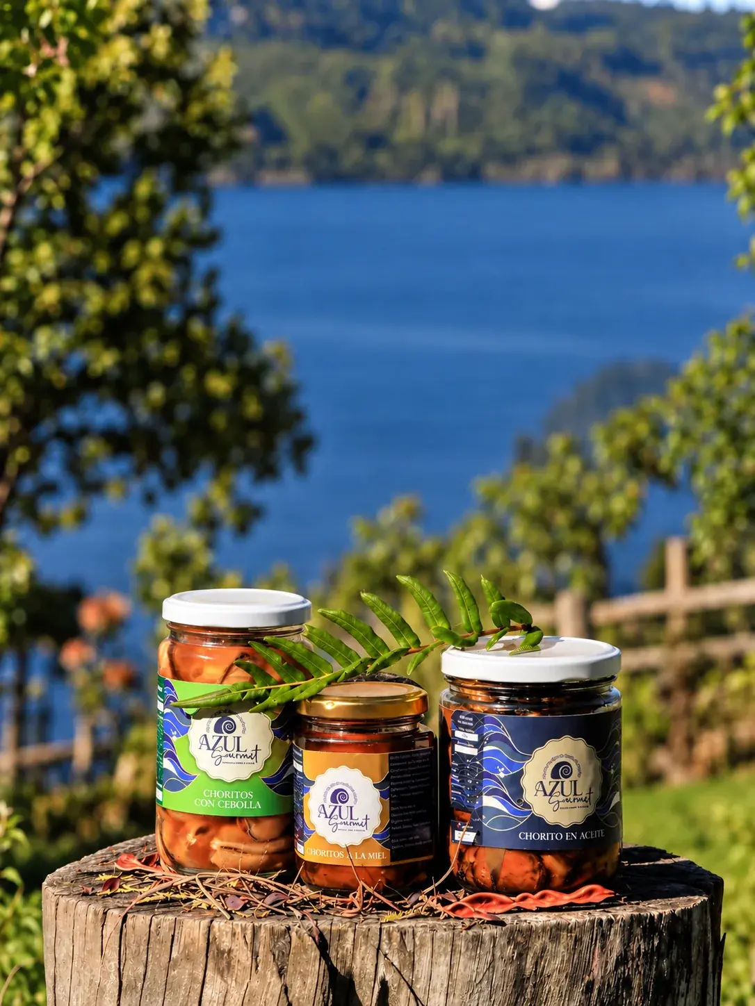 Frascos de conservas artesanales de Azul Gourmet sobre una base de madera